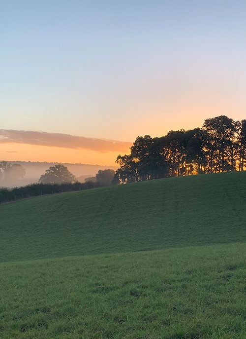 Stow Cottages Holiday Lets